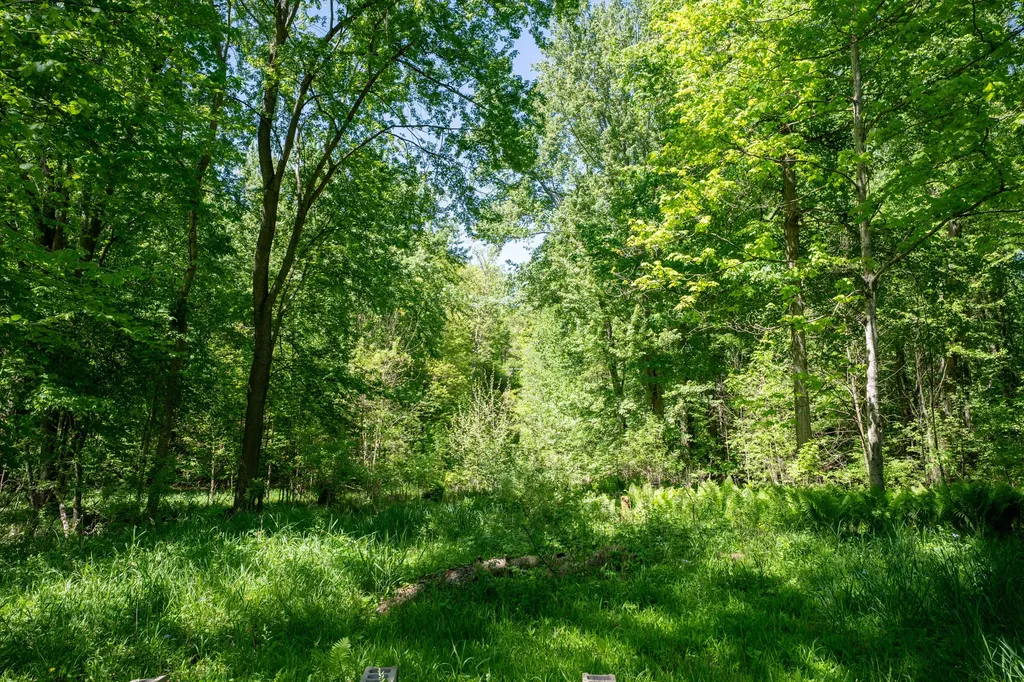 4658 W Fern Glen Ashland Township MI 49412