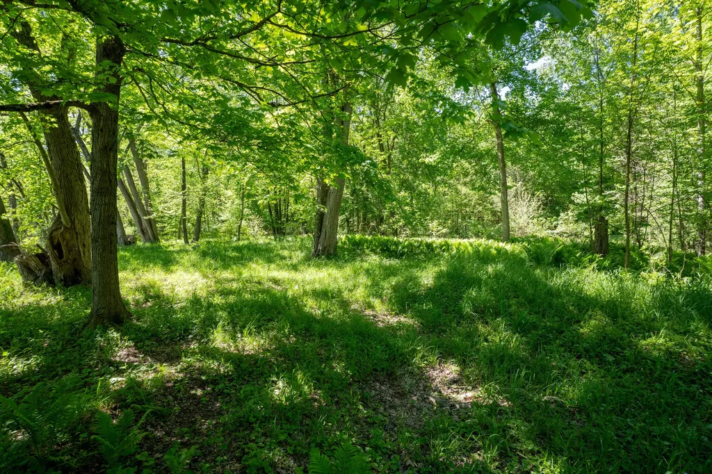 4658 W Fern Glen Ashland Township MI 49412