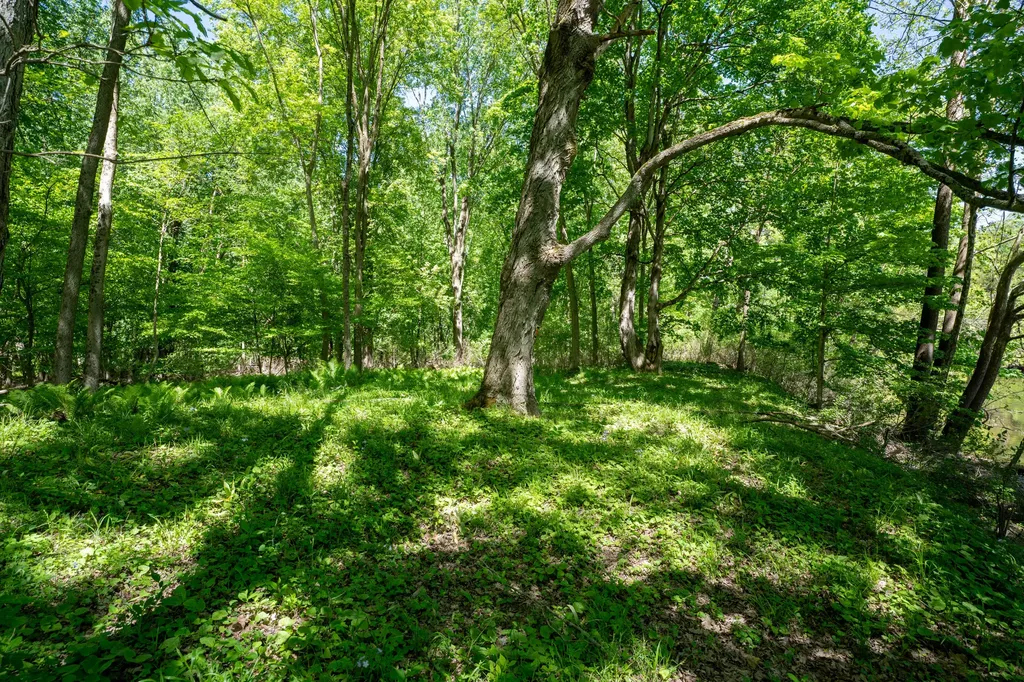 4658 W Fern Glen Ashland Township MI 49412