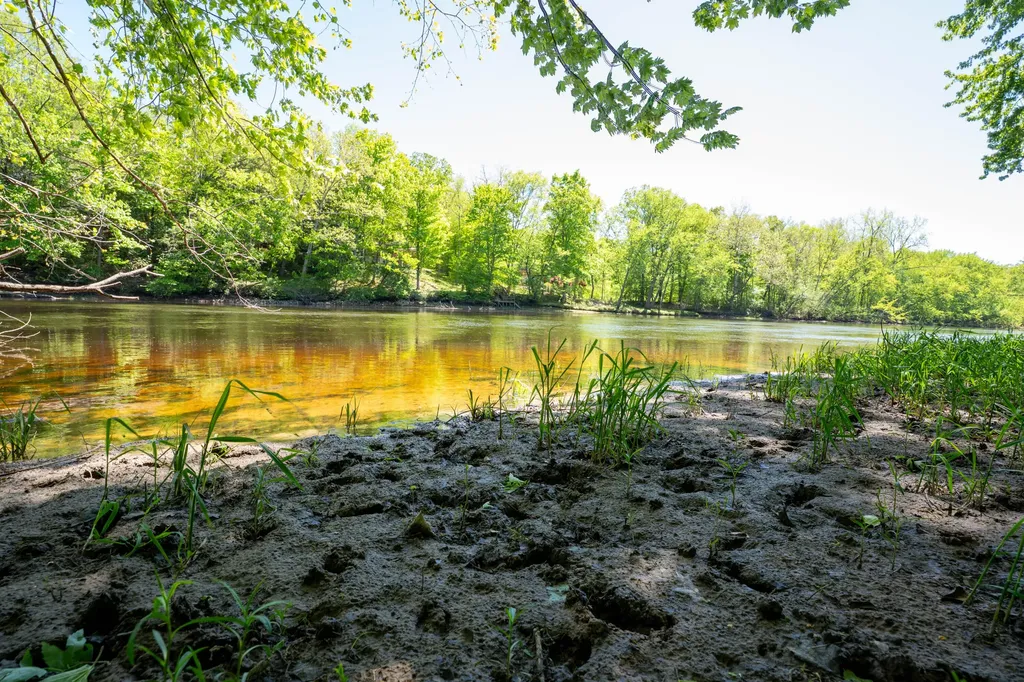 4658 W Fern Glen Ashland Township MI 49412