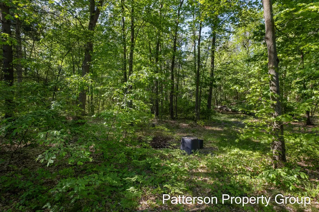 8229 E Apple Avenue Egelston Township MI 49451