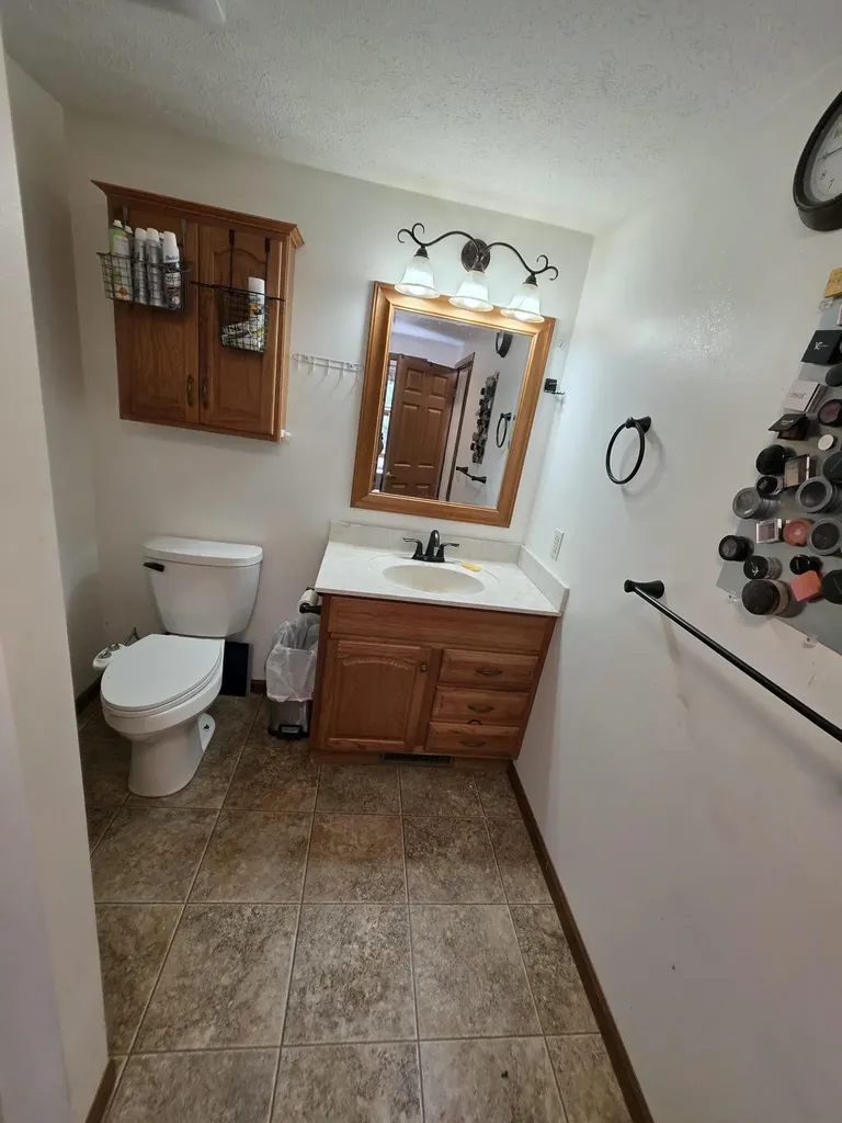 1125 Kristie Lane Amber Township MI 49431