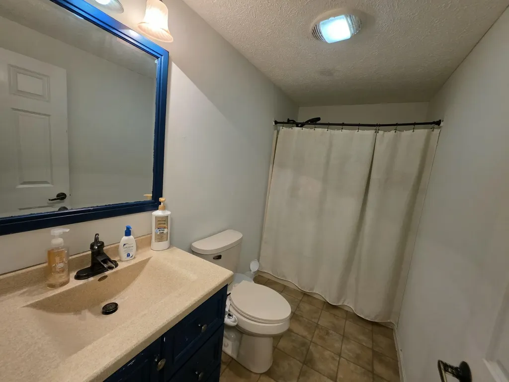 1125 Kristie Lane Amber Township MI 49431