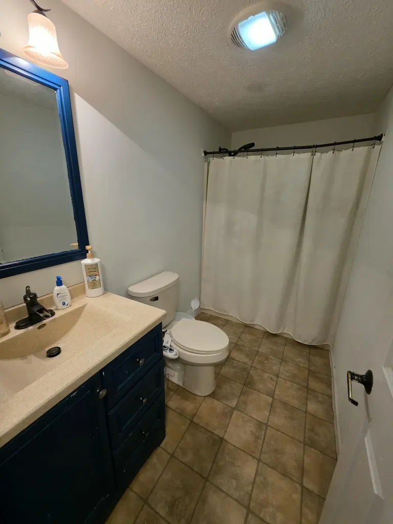 1125 Kristie Lane Amber Township MI 49431