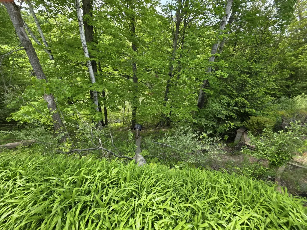 1125 Kristie Lane Amber Township MI 49431