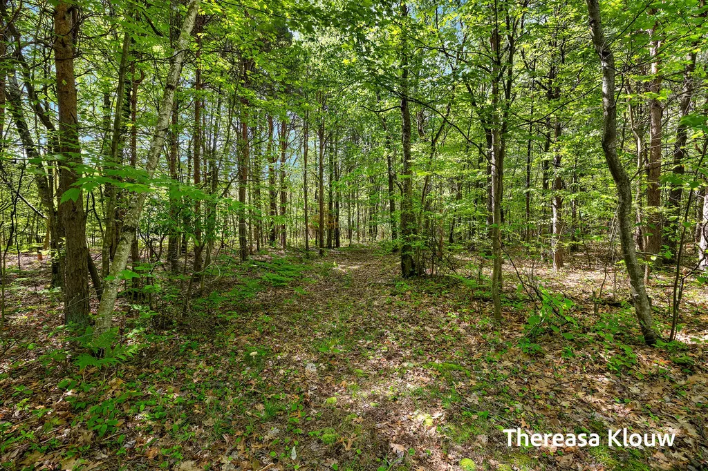 6969 E Pontaluna Road Fruitport Charter Township MI 49415