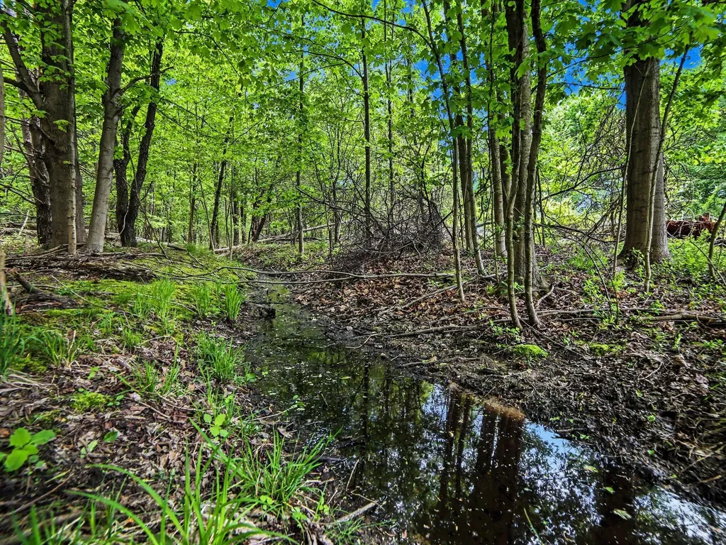 7107 West Webster Road Claybanks Township MI 49437