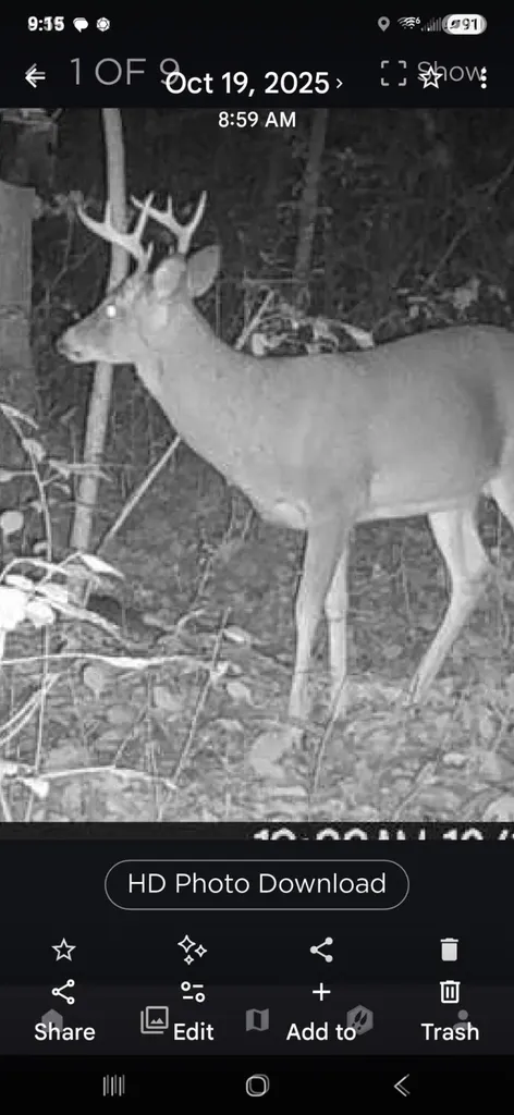 11610 Fogg Lake Road Blue Lake Township MI 49437