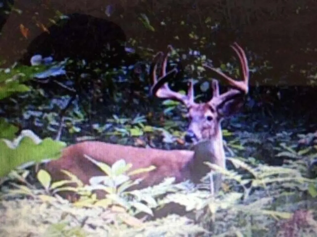 11610 Fogg Lake Road Blue Lake Township MI 49437
