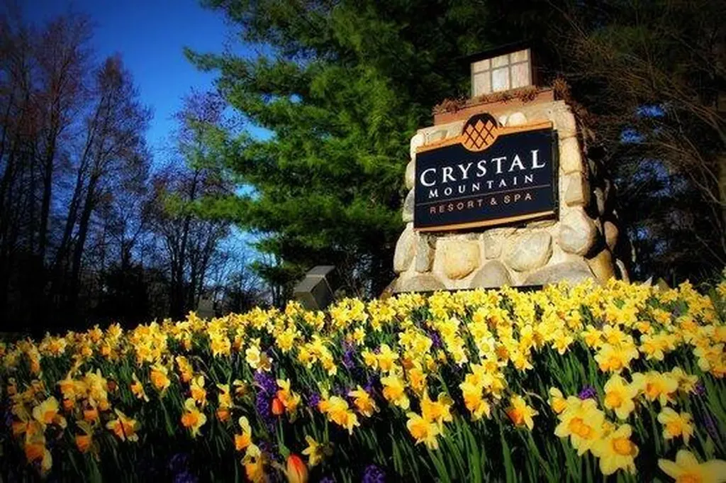 14790 Woods Trail Springdale Township MI 49683