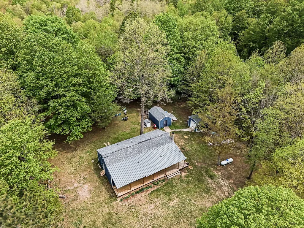 14790 Woods Trail Springdale Township MI 49683