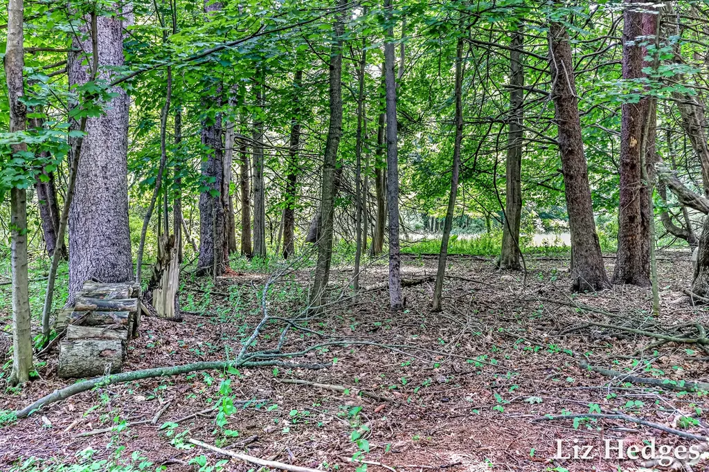 6285 S Shore Fruitland Township MI 49461