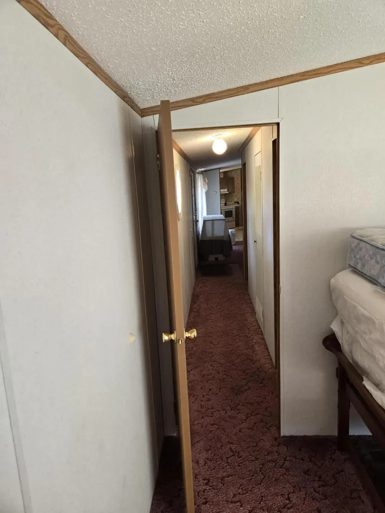 281 E Wilson Drive Yates Township MI 49642