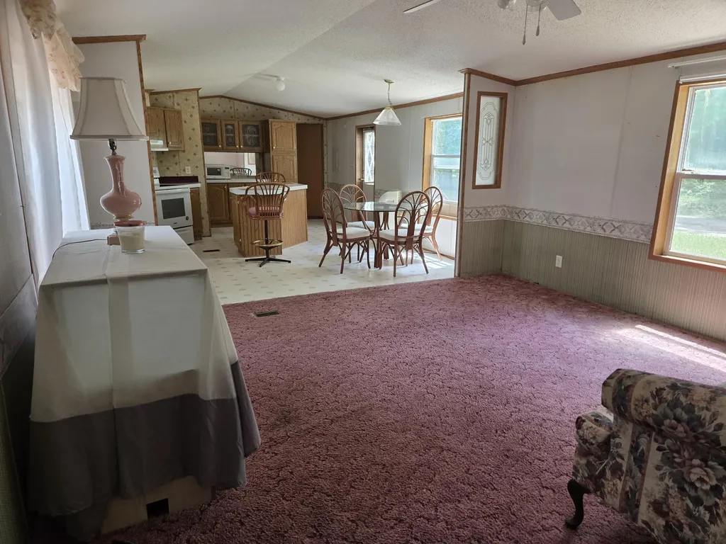 281 E Wilson Drive Yates Township MI 49642