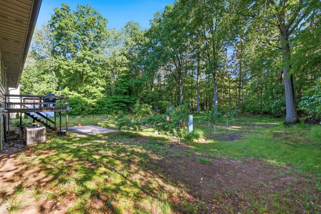 15915 Ryan Drive Park Township MI 49424