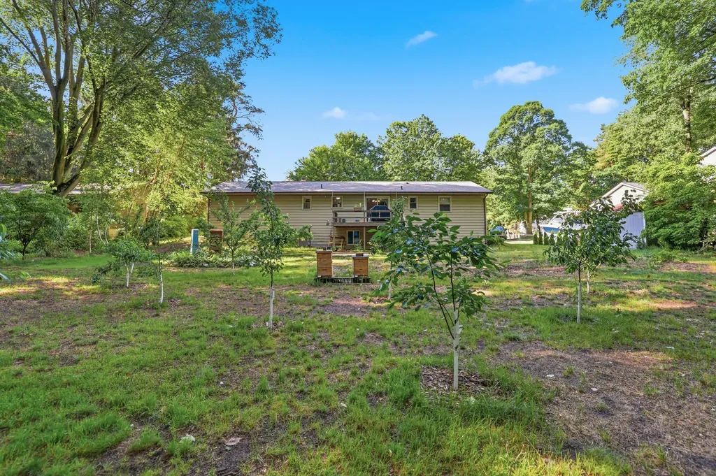 15915 Ryan Drive Park Township MI 49424