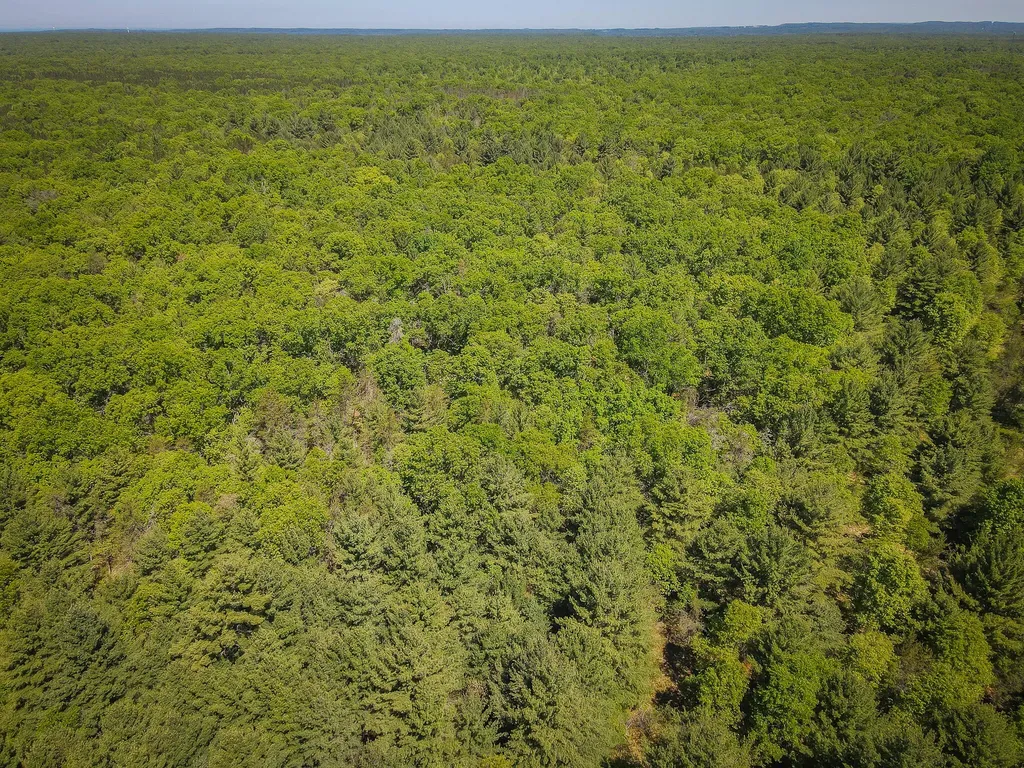 4993 Little River Road Stronach Township MI 49660