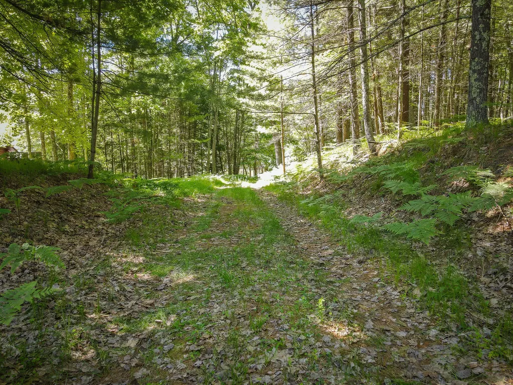 4993 Little River Road Stronach Township MI 49660