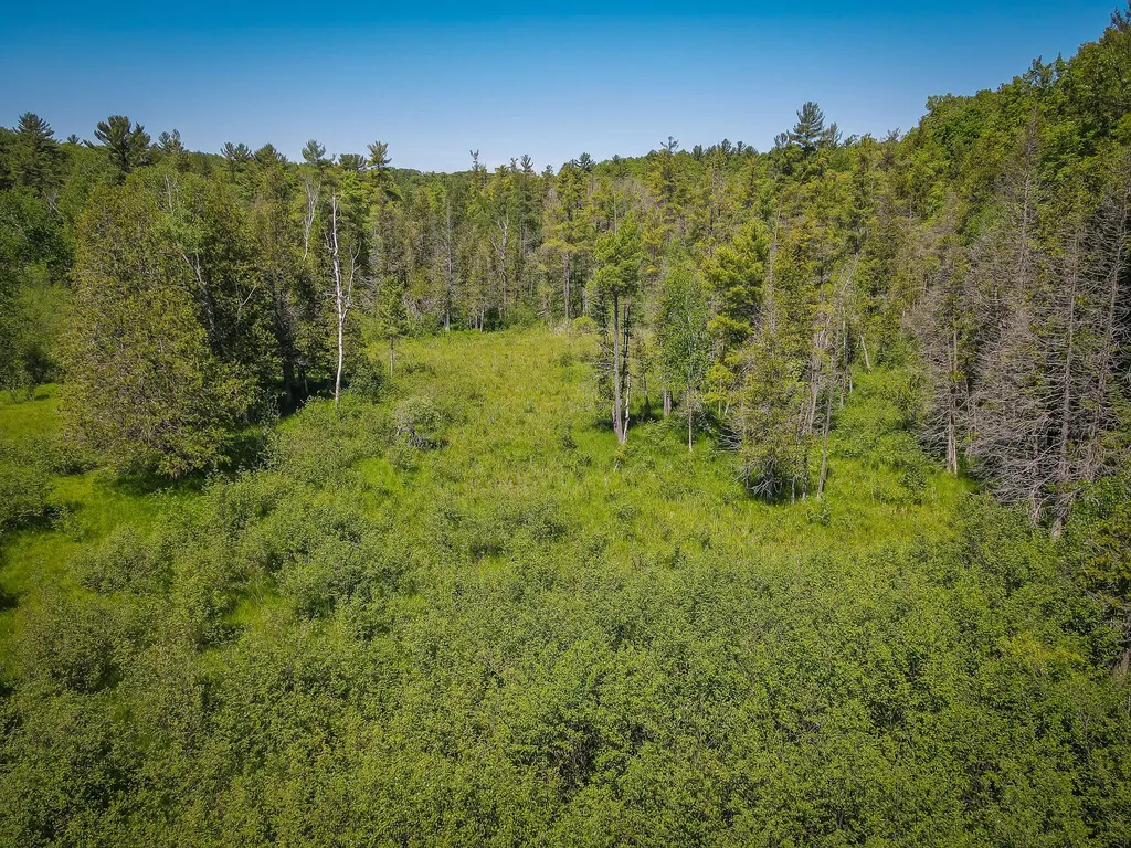 4993 Little River Road Stronach Township MI 49660