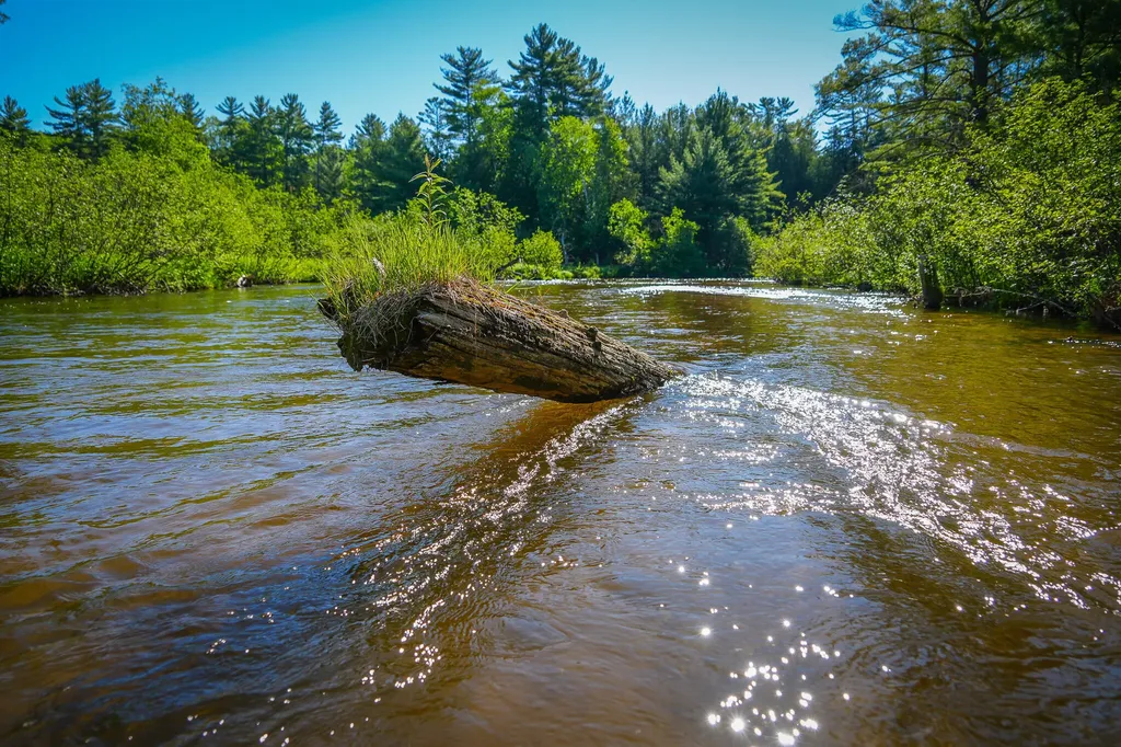 4993 Little River Road Stronach Township MI 49660
