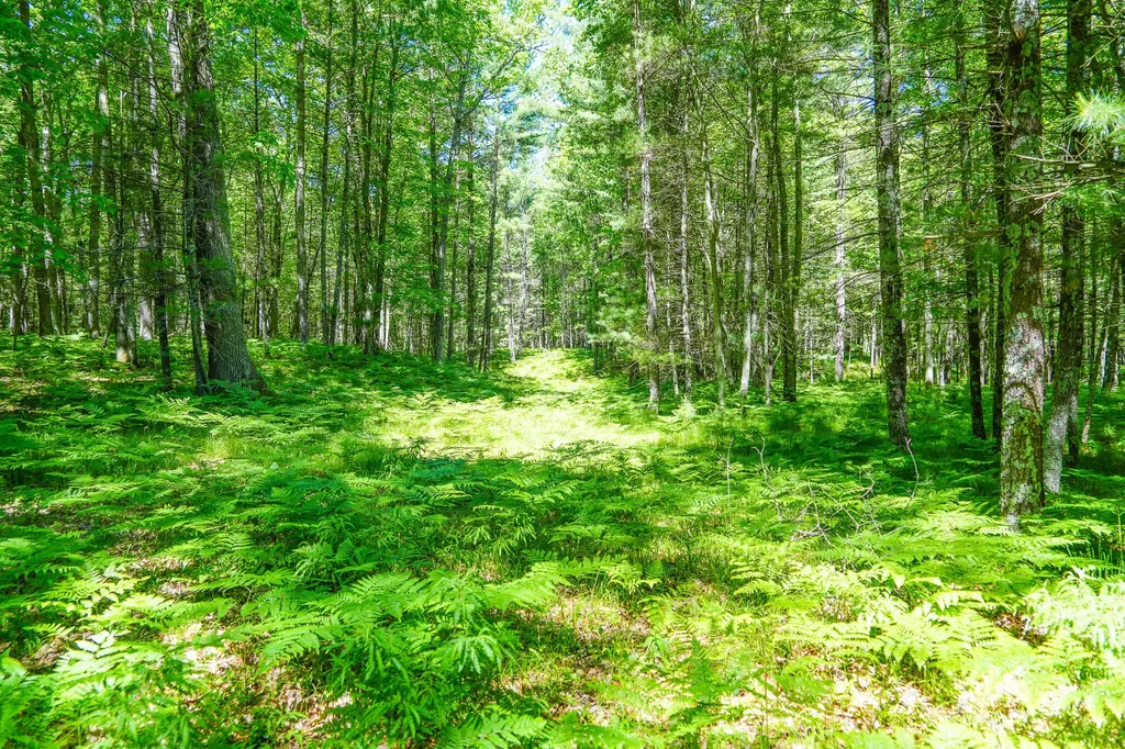 4993 Little River Road Stronach Township MI 49660