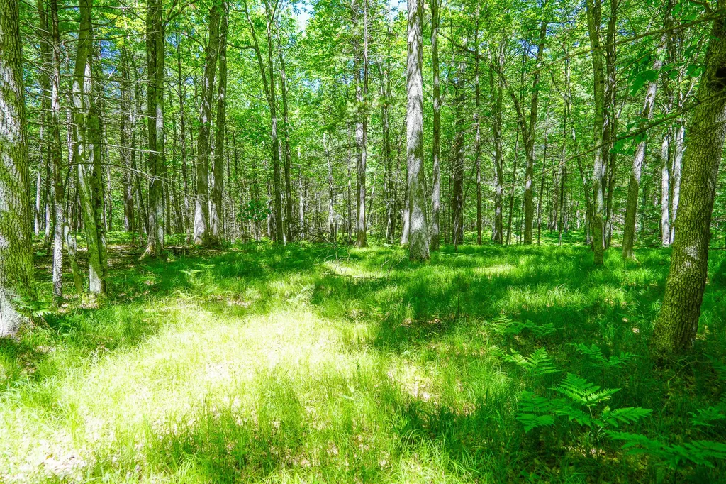 4993 Little River Road Stronach Township MI 49660