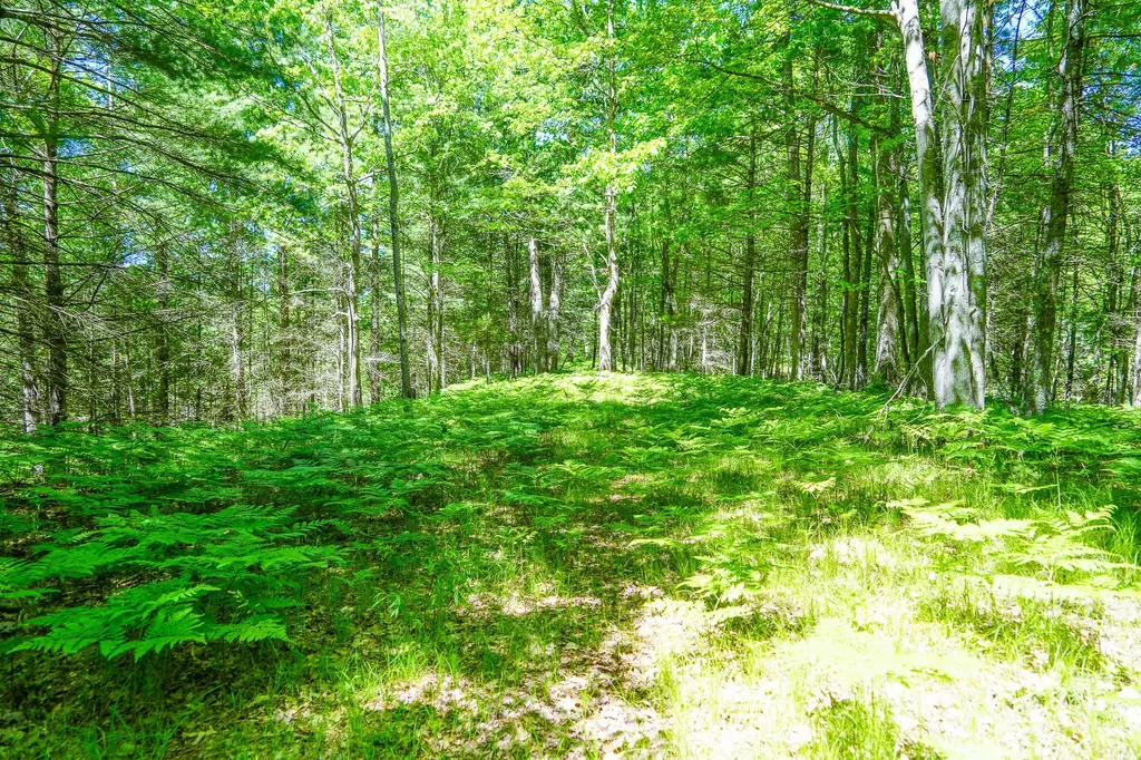 4993 Little River Road Stronach Township MI 49660