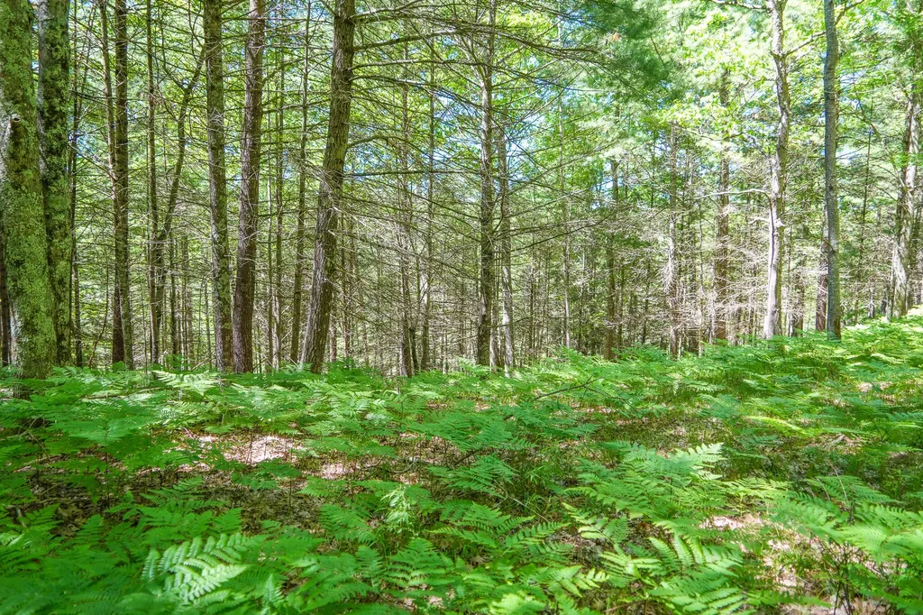 4993 Little River Road Stronach Township MI 49660