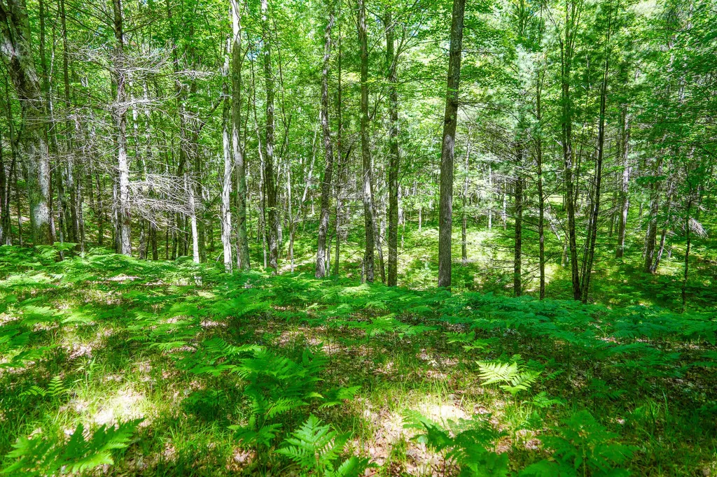 4993 Little River Road Stronach Township MI 49660