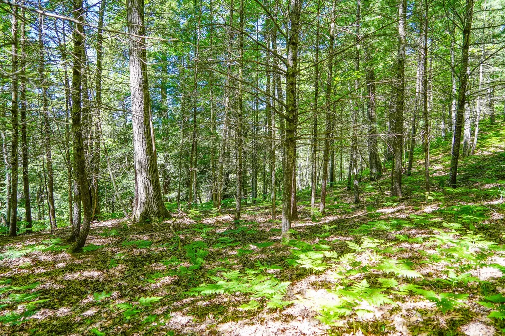4993 Little River Road Stronach Township MI 49660