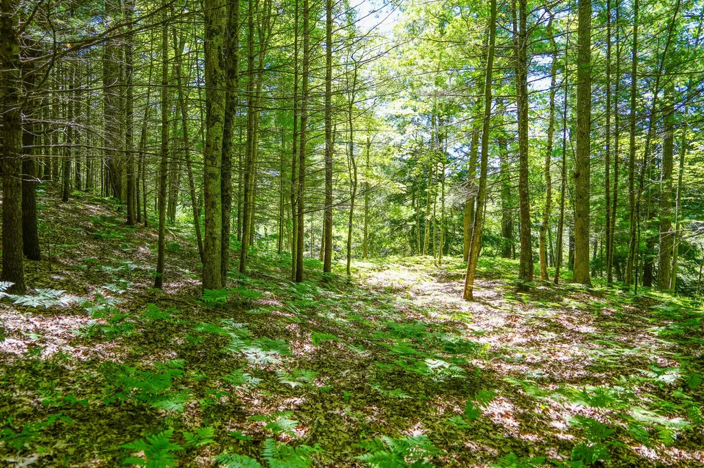 4993 Little River Road Stronach Township MI 49660