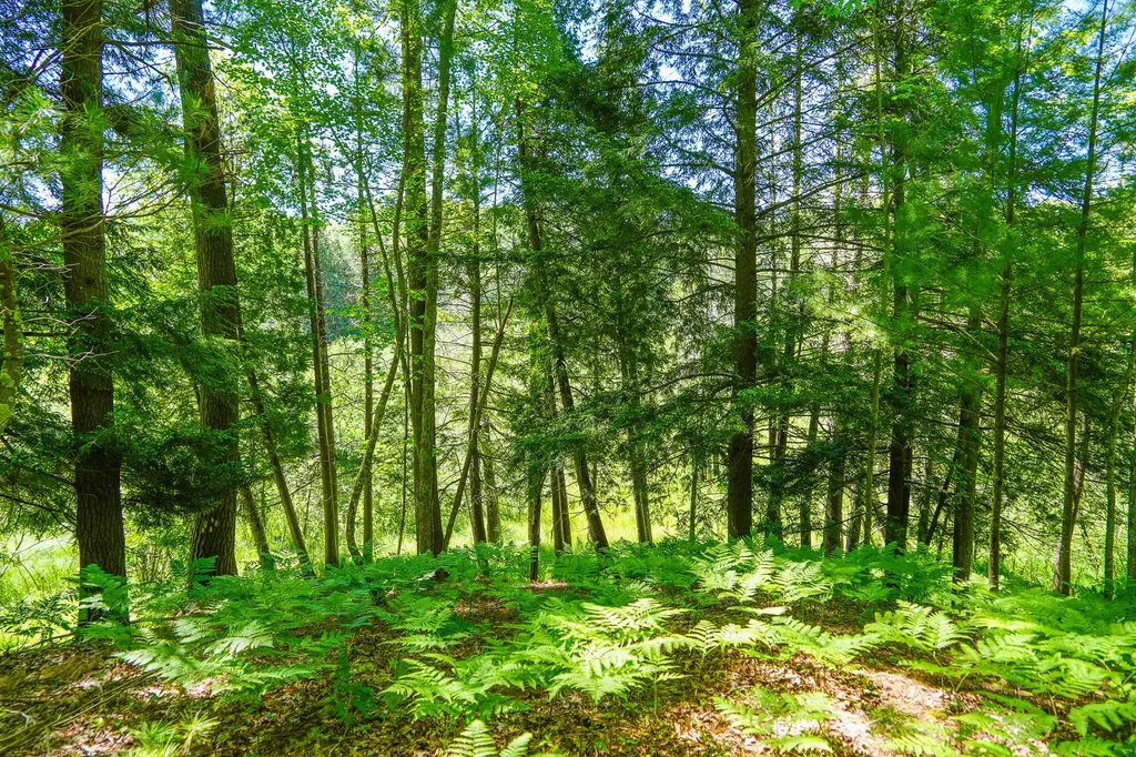4993 Little River Road Stronach Township MI 49660