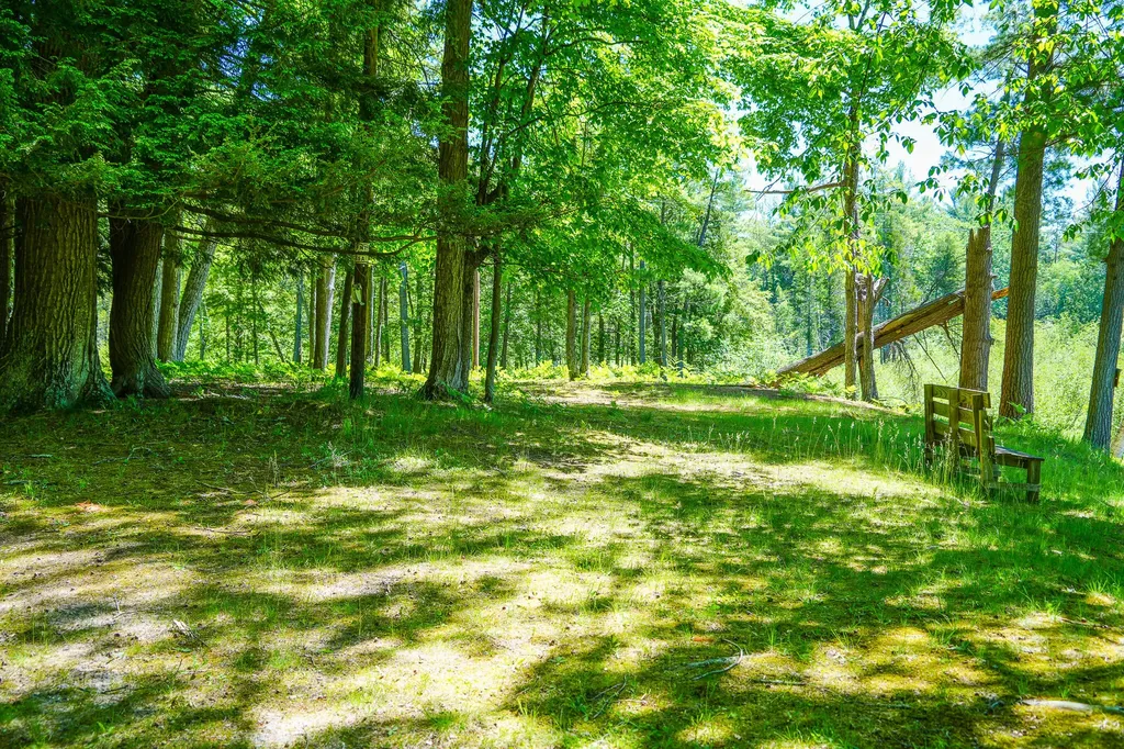 4993 Little River Road Stronach Township MI 49660