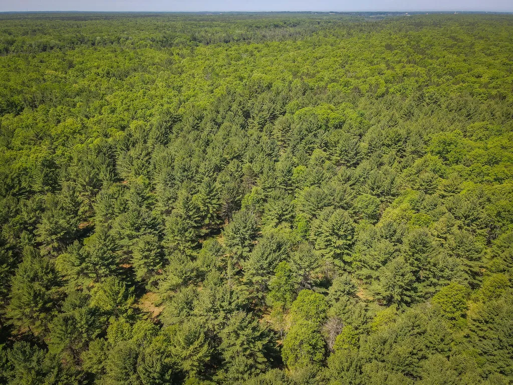 4993 Little River Road Stronach Township MI 49660