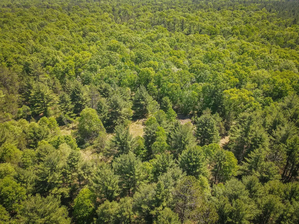 4993 Little River Road Stronach Township MI 49660