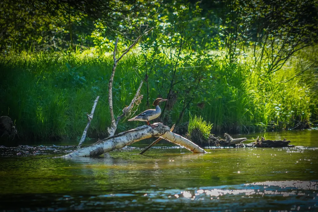 4993 Little River Road Stronach Township MI 49660