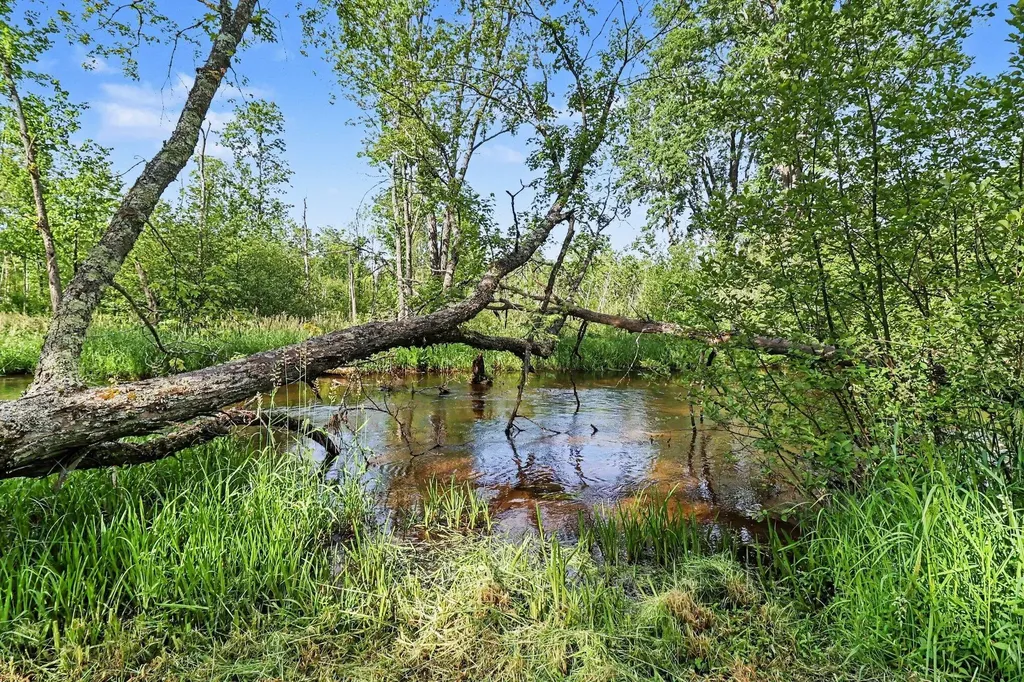 141 W 4 Mile Road Peacock Township MI 49656