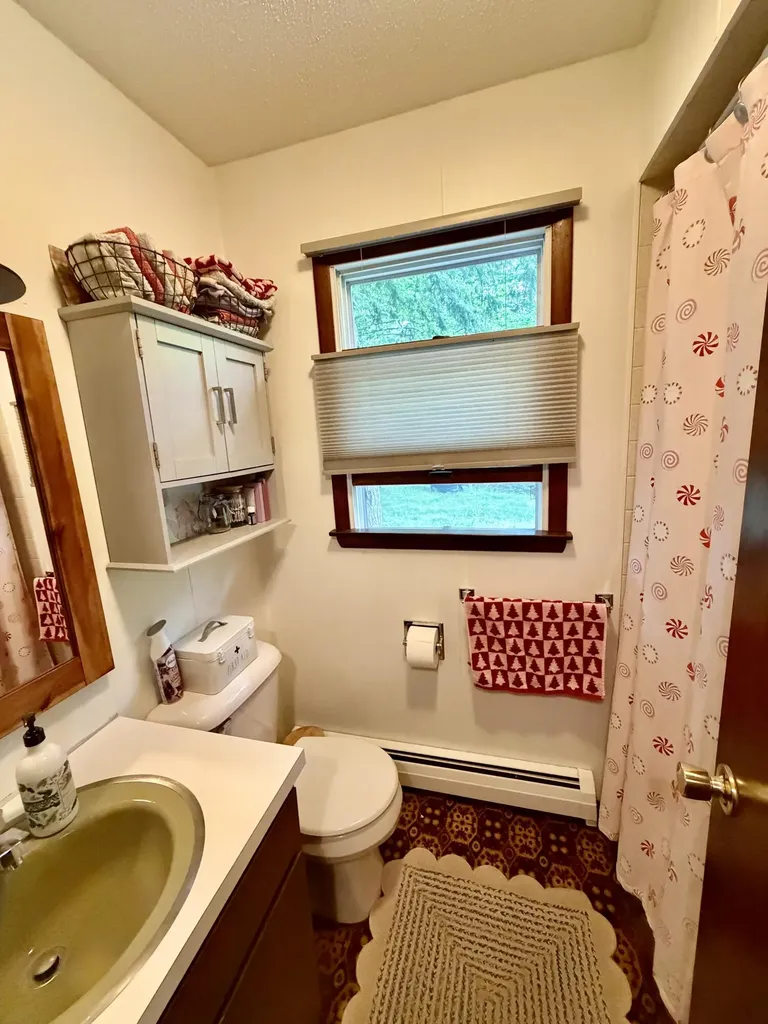 5825 S Woods Road Logan Township MI 49402