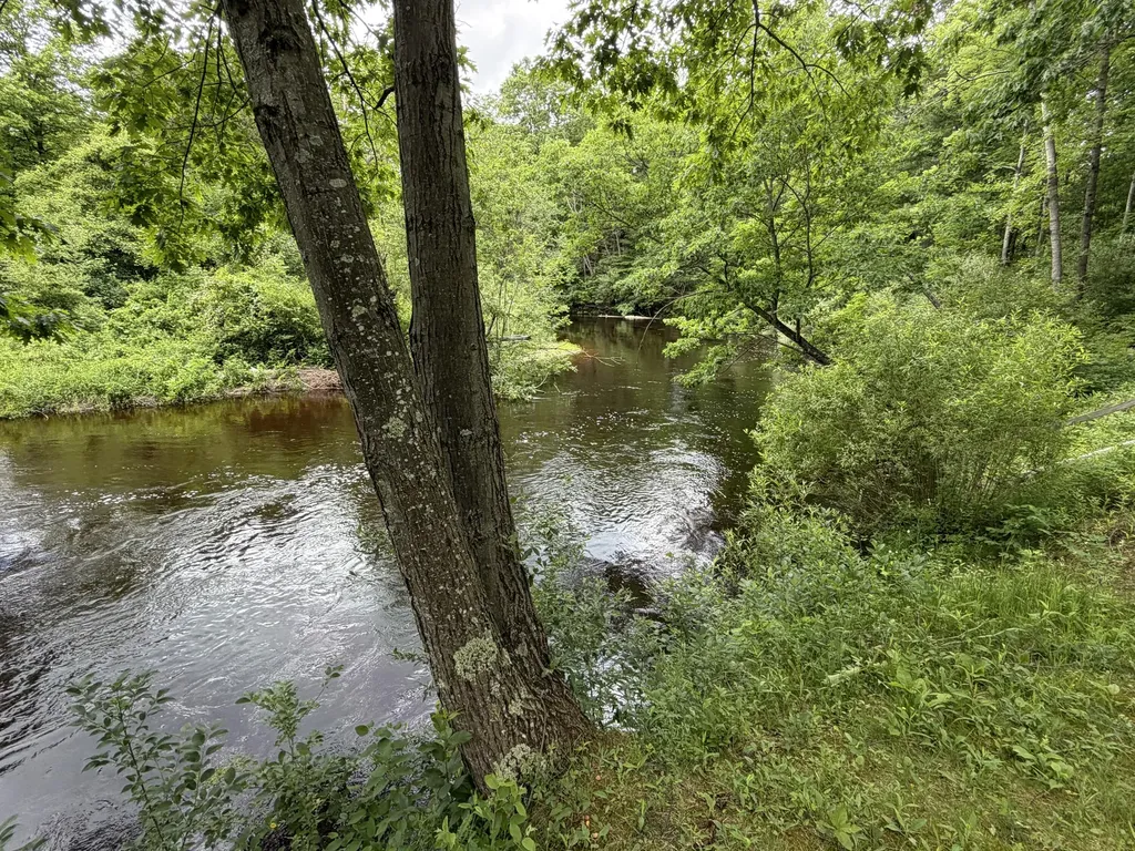5825 S Woods Road Logan Township MI 49402