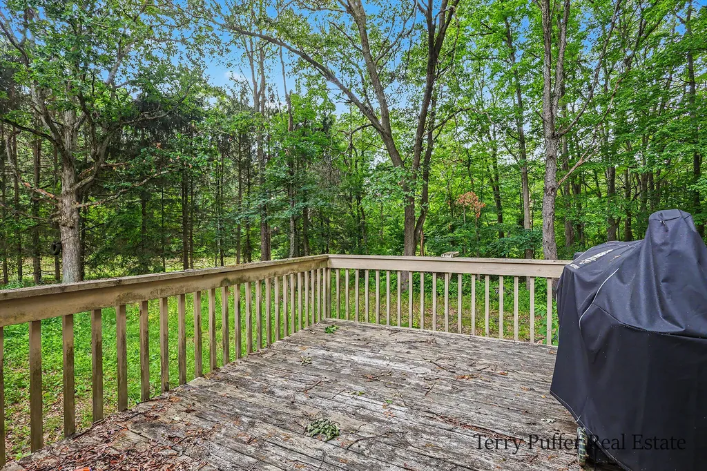 12253 Rich Street Robinson Township MI 49417