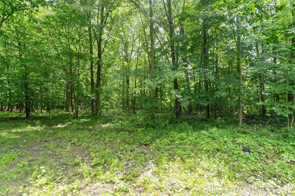 5218 Fillmore Street Blendon Township MI 49401
