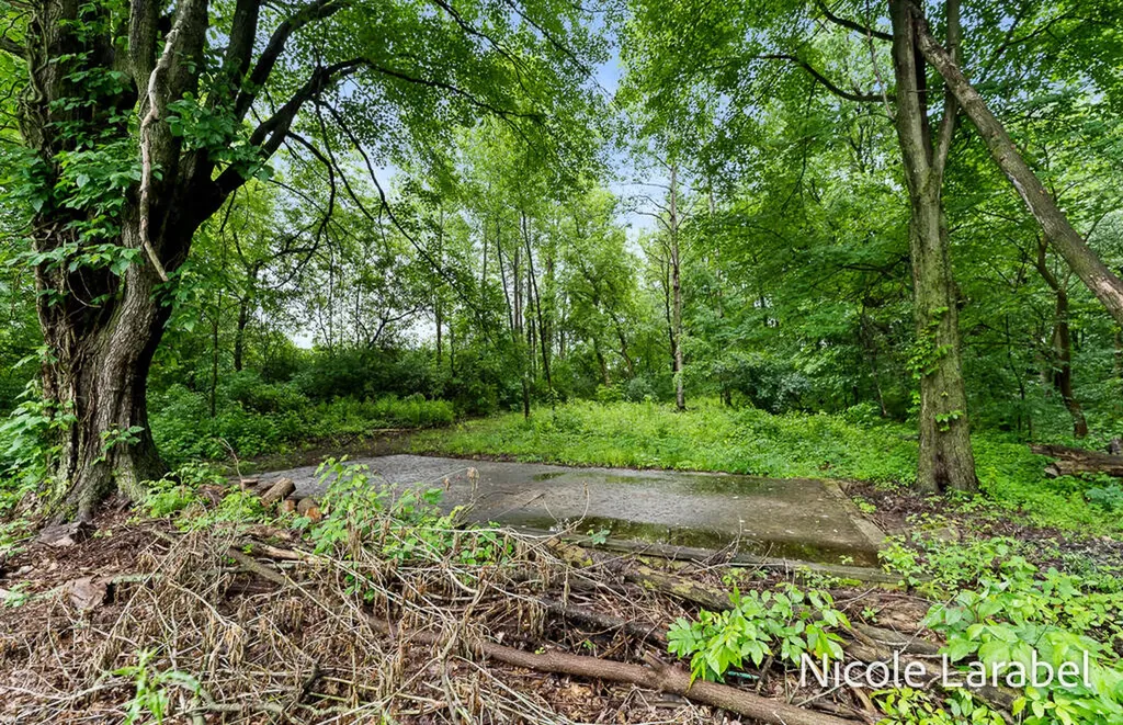 4696 16 Mile Road NE Algoma Township MI 49319