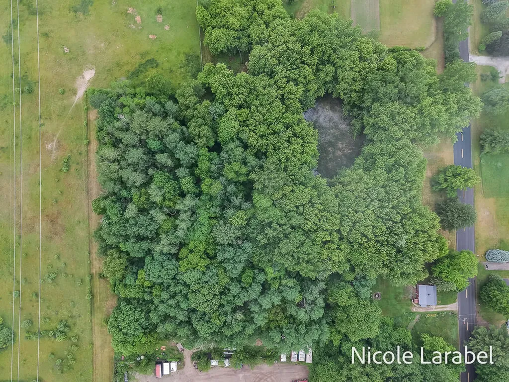 4696 16 Mile Road NE Algoma Township MI 49319