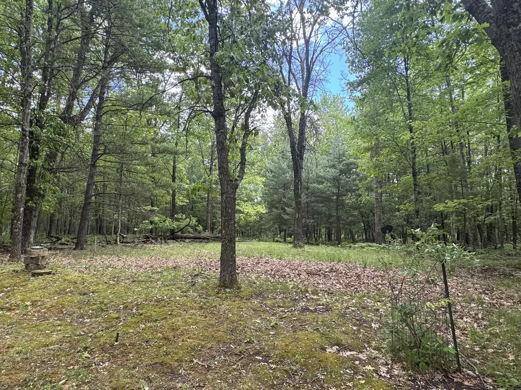 2848 W Pierce Drive Merrill Township MI 49312