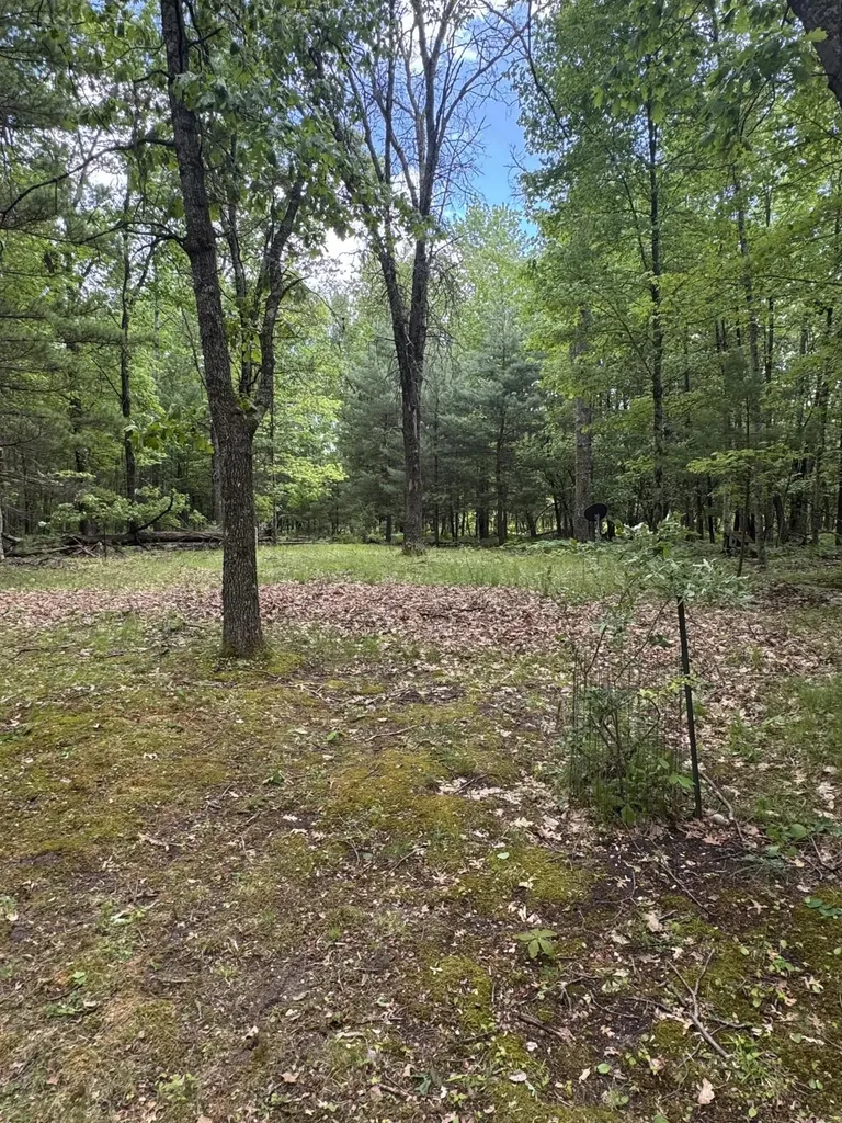 2848 W Pierce Drive Merrill Township MI 49312