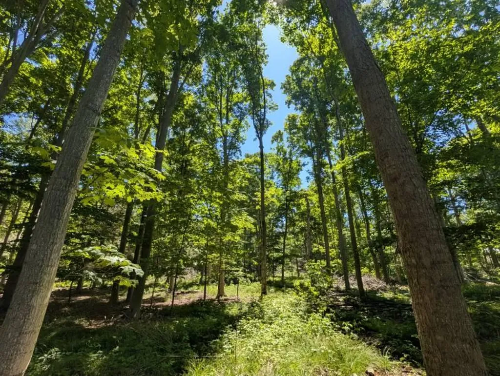 10766 Old Highway 99 White River Township MI 49437