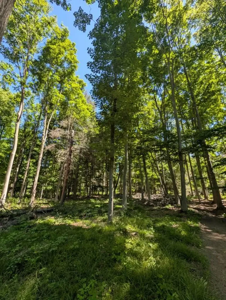 10766 Old Highway 99 White River Township MI 49437