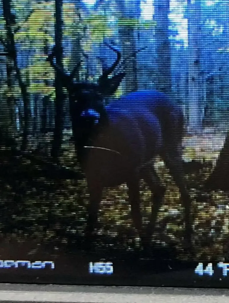 10766 Old Highway 99 White River Township MI 49437