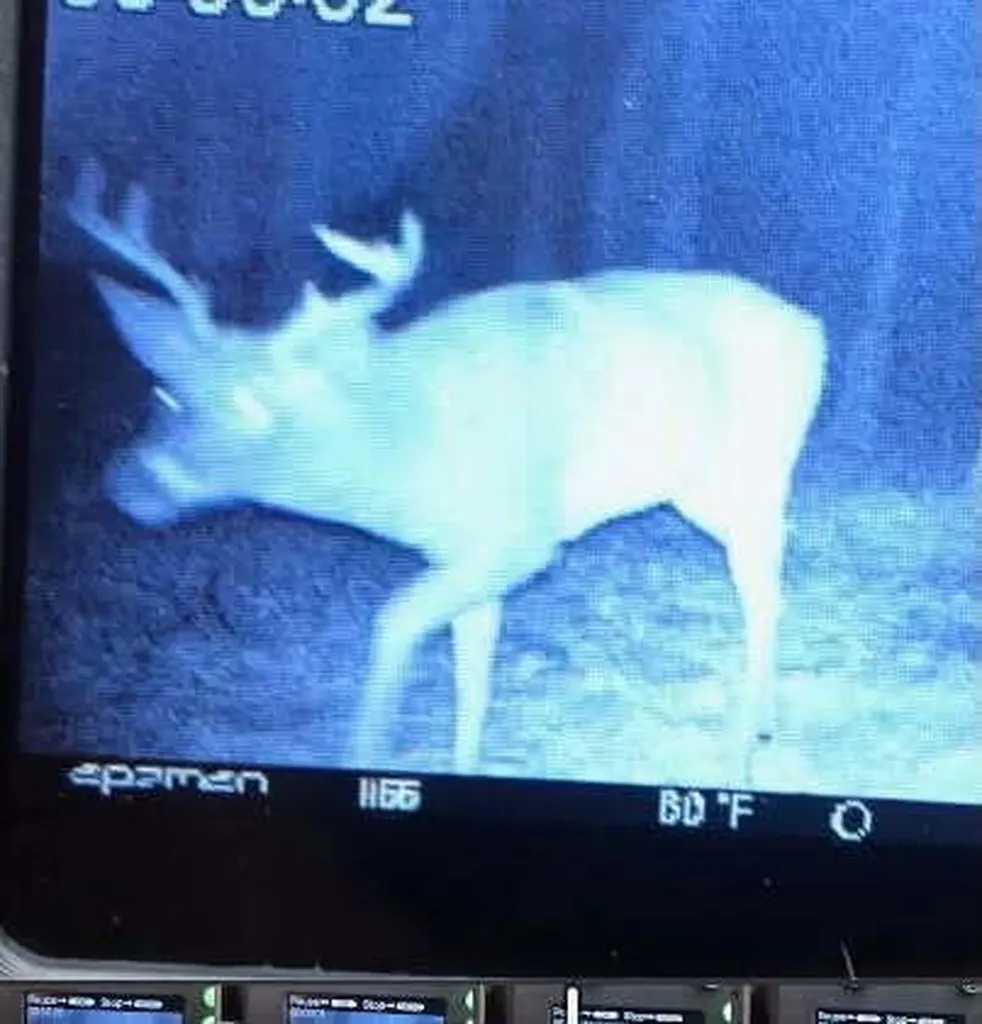10766 Old Highway 99 White River Township MI 49437