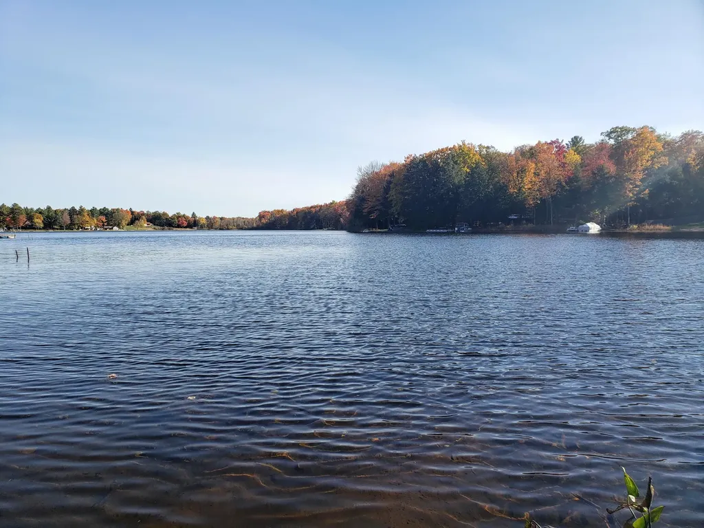 20308 Lakeview Drive Burdell Township MI 49688